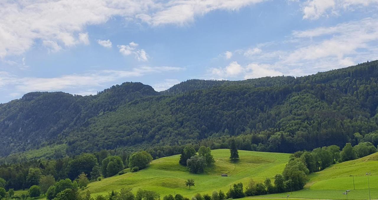 Hotel Gasthof Kreuz Вельшенрор Экстерьер фото