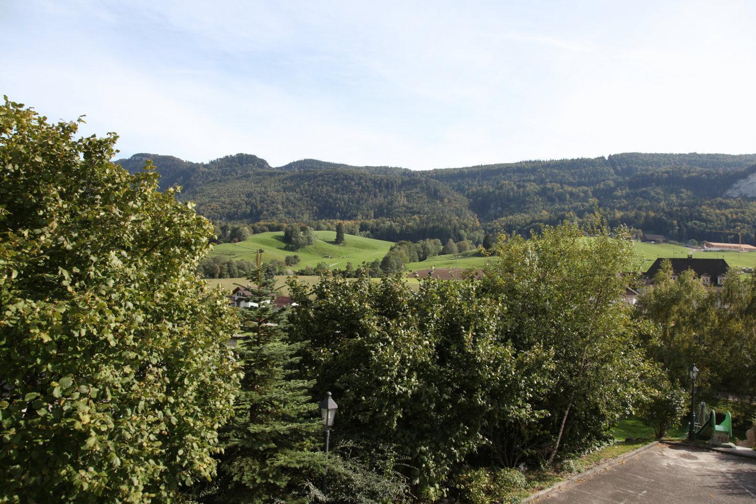 Hotel Gasthof Kreuz Вельшенрор Экстерьер фото
